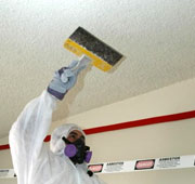 Asbestos Cleanup