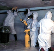 Asbestos Training